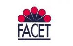 Бренд FACET